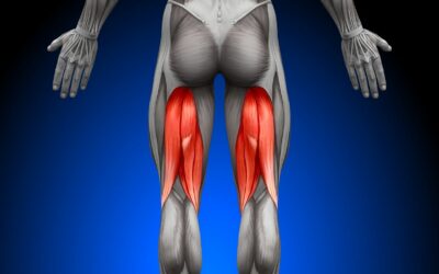 Let’s talk Hamstrings and related pain